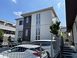 ＳｕｎＷｏｏｄ　Ｎｅｏ