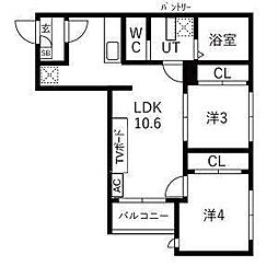 Tidy大江