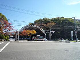 デンマークハイツII  ｜ 愛知県長久手市菖蒲池（賃貸マンション1K・2階・19.80㎡） その3