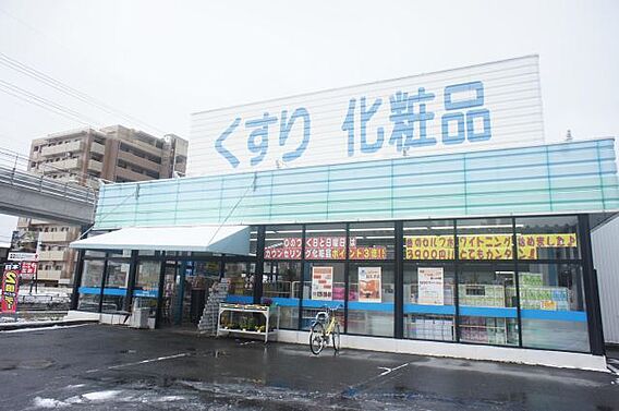 大地ヒルズS棟_周辺_2