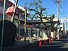 周辺：幼稚園、保育園「惟信保育園まで500m」