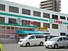 周辺：ドラッグストア 「スギ薬局まで250m」