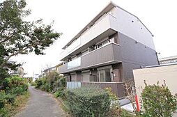 ハイ　サリックス