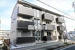 マリーゴールド　B