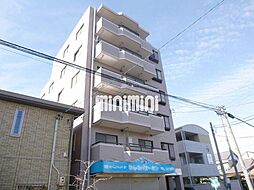 ソシア錦