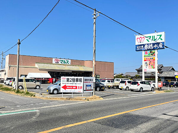 画像16:スーパー「ショッピングマルス美浜奥田店まで1565m」