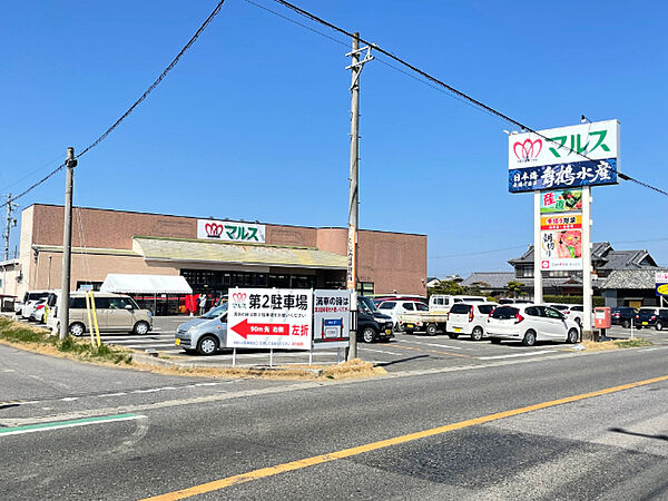 画像19:スーパー「ショッピングマルス美浜奥田店まで938m」