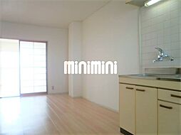 ニューリタンス