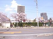 幼稚園、保育園「安城幼稚園まで290m」