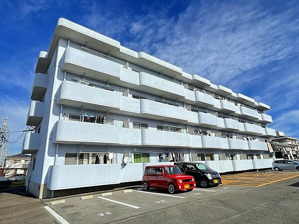 ネクストナカネ 307｜愛知県豊田市金谷町７丁目(賃貸マンション2LDK・3階・53.20㎡)の写真 その1