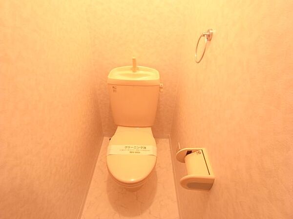 画像6:タオル掛けのあるトイレ
