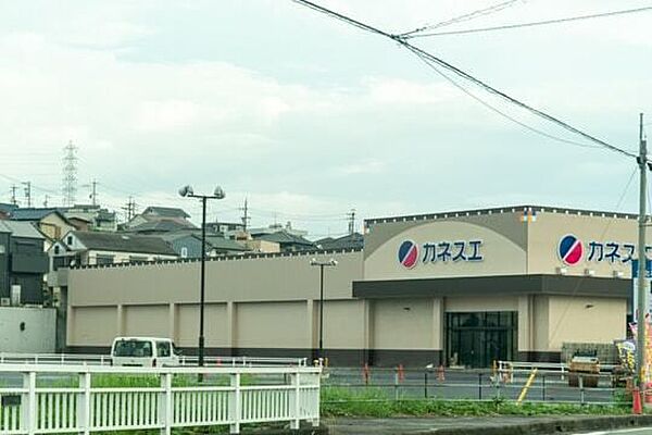 画像20:ショッピング施設「スーパー　カネスエ　阿久比店まで1600m」