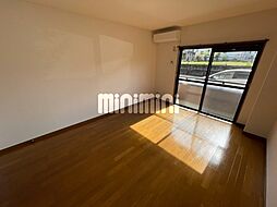 シャトルピーチ