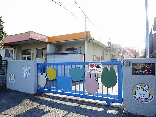 画像24:幼稚園、保育園「柏井保育園まで410m」