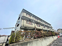 マメゾンＴ・Ｓ