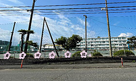 コンシェルジュ  ｜ 静岡県静岡市葵区長沼南（賃貸マンション1DK・5階・29.20㎡） その16