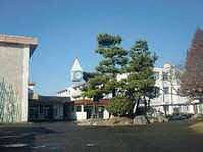 画像24:中学校「静岡市立清水第八中学校まで162m」