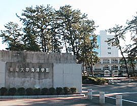 アドヴァンス三保  ｜ 静岡県静岡市清水区三保松原町（賃貸マンション1R・1階・30.40㎡） その23