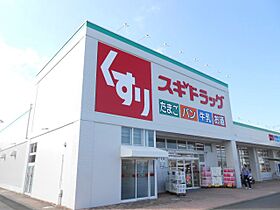 アストロ  ｜ 静岡県静岡市駿河区西島（賃貸マンション2LDK・2階・47.40㎡） その19