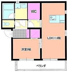 ネフェルティティ 1LDKの間取図画像