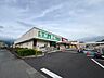 周辺：スーパー「業務スーパーマミー原町店まで812m」