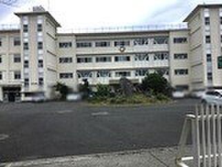 画像25:中学校「富士市立富士南中学校まで1320m」