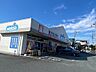 周辺：ドラッグストア 「ウエルシア富士川成島店まで256m」
