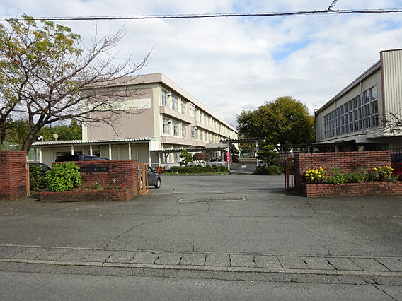 プチマーガレット_周辺_0