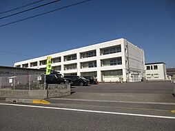 小学校「羽島市立福寿小学校まで737m」