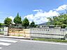 周辺：幼稚園、保育園「苗木保育園まで957m」