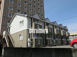 フラットコート泉