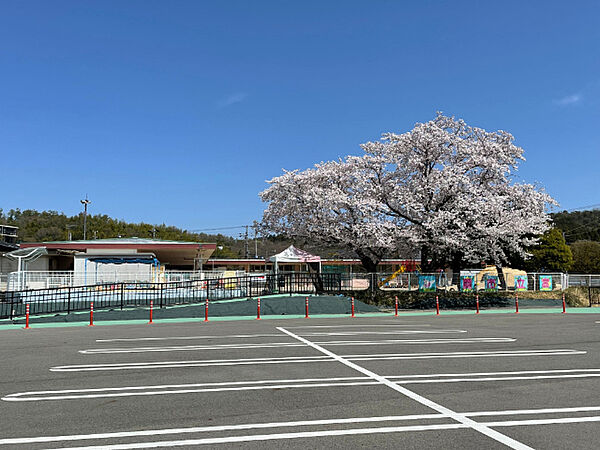 画像22:幼稚園、保育園「富岡保育園まで879m」
