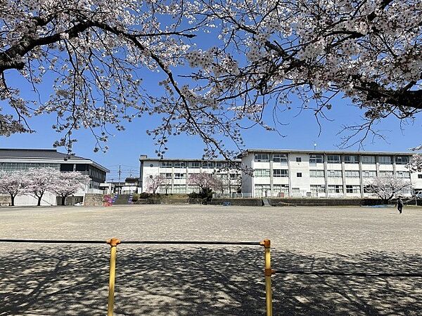 画像20:小学校「関市立倉知小学校まで1296m」
