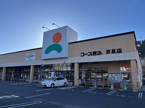 画像29:スーパー「コープぎふ芥見店まで393m」