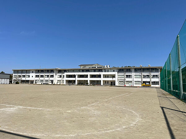 画像16:小学校「関市立富岡小学校まで584m」
