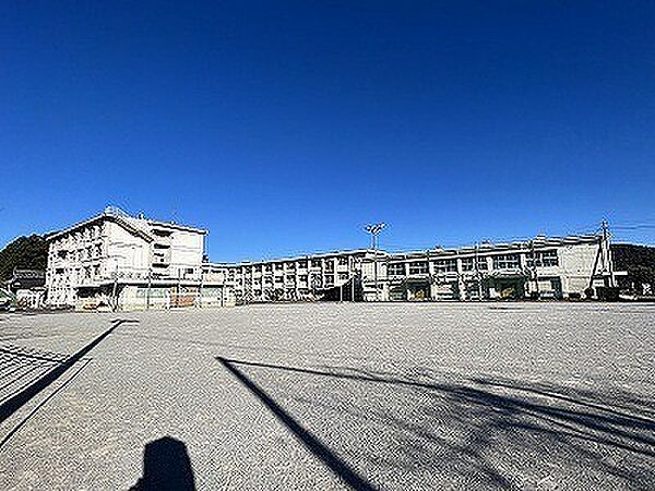 画像15:小学校「岐阜市立芥見小学校まで453m」