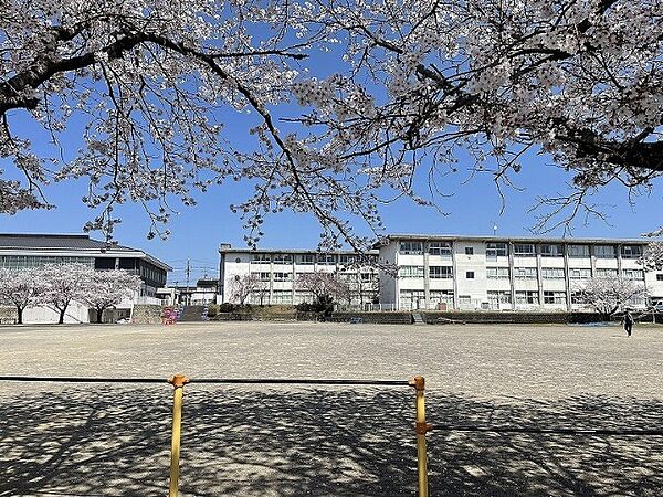 画像18:小学校「関市立倉知小学校まで1218m」
