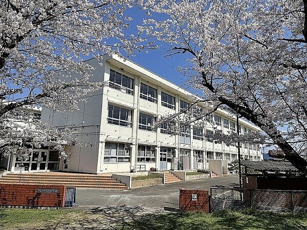 画像17:小学校「関市立桜ケ丘小学校まで1323m」