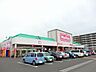 周辺：スーパー「マックスバリュサンリバー店まで519m」