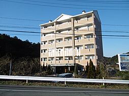コラルリーフ21