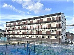 カーサ たもの木