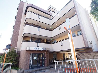 外観 外観