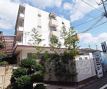 外観 外観