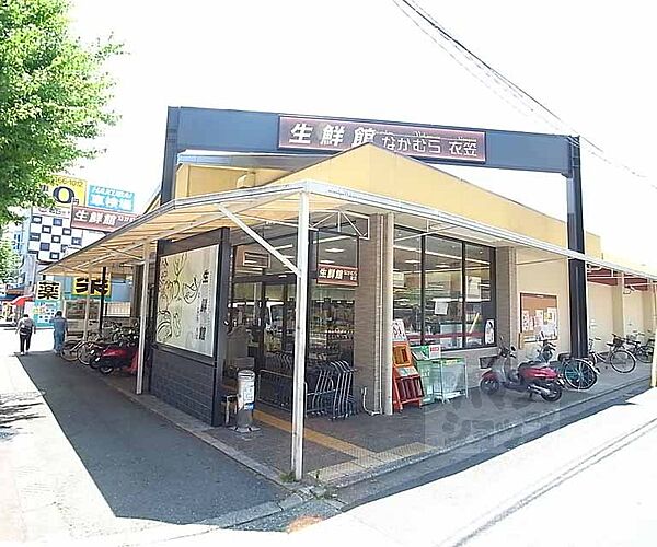 画像27:生鮮館なかむら 衣笠店まで566m