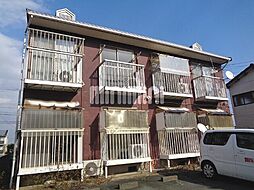 ハイビラコスモス