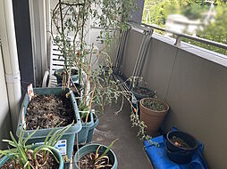 バルコニーの画像