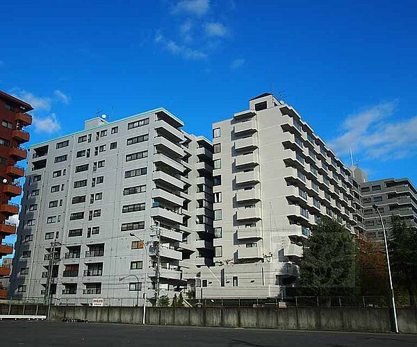 京都府京都市下京区中堂寺坊城町(賃貸マンション2DK・8階・50.81㎡)の写真 その1