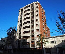 京都府京都市下京区西七条比輪田町（賃貸マンション1LDK・10階・52.02㎡） その1