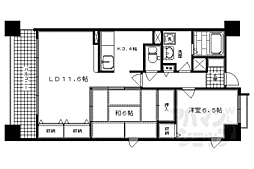 京都市営烏丸線 四条駅 徒歩8分 7階/-