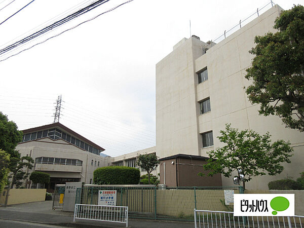 サンコーポラス平沢 202｜神奈川県秦野市平沢(賃貸マンション2DK・2階・34.02㎡)の写真 その24